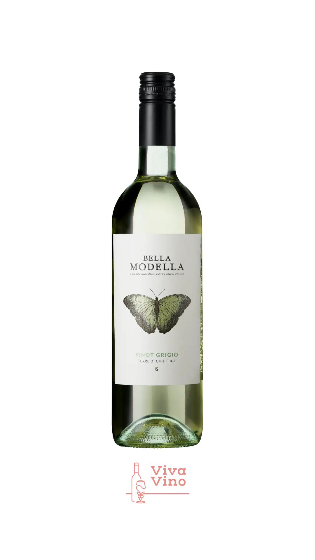Bella Modella, Pinot Grigio, Terre d'Abruzzo IGT, Abruzzo Italy, 2024