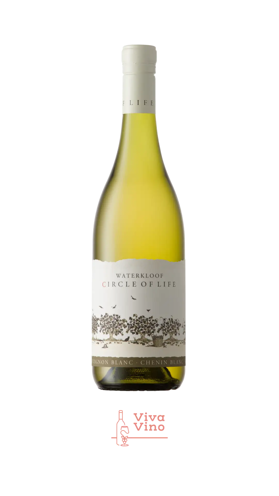 Circle of Life White, WO Stellenbosch, SA